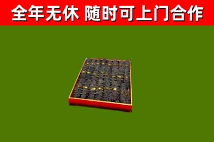 贵港回收海参